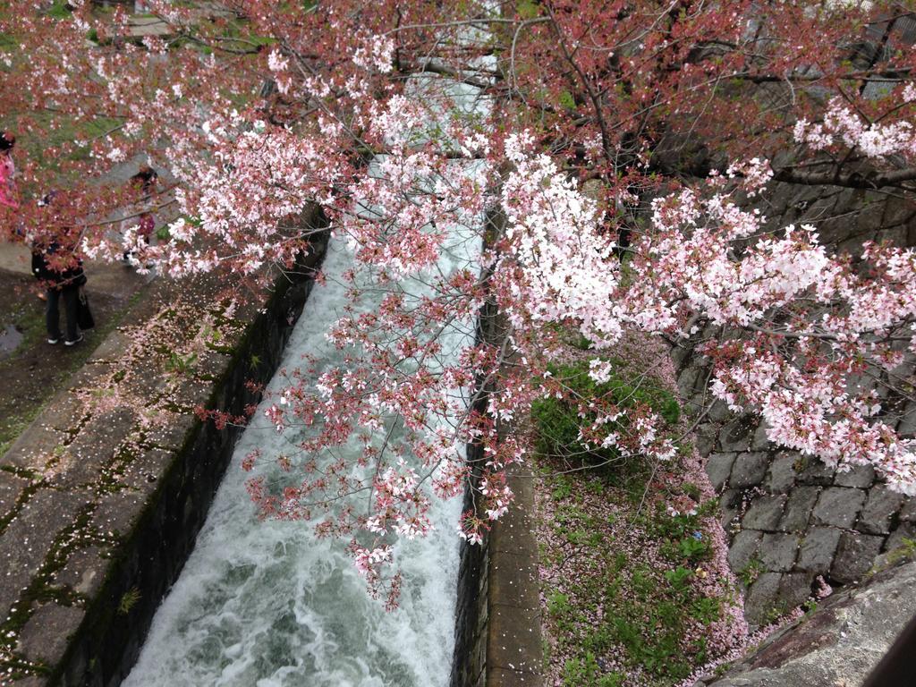 京都市 Yunokianヴィラ エクステリア 写真